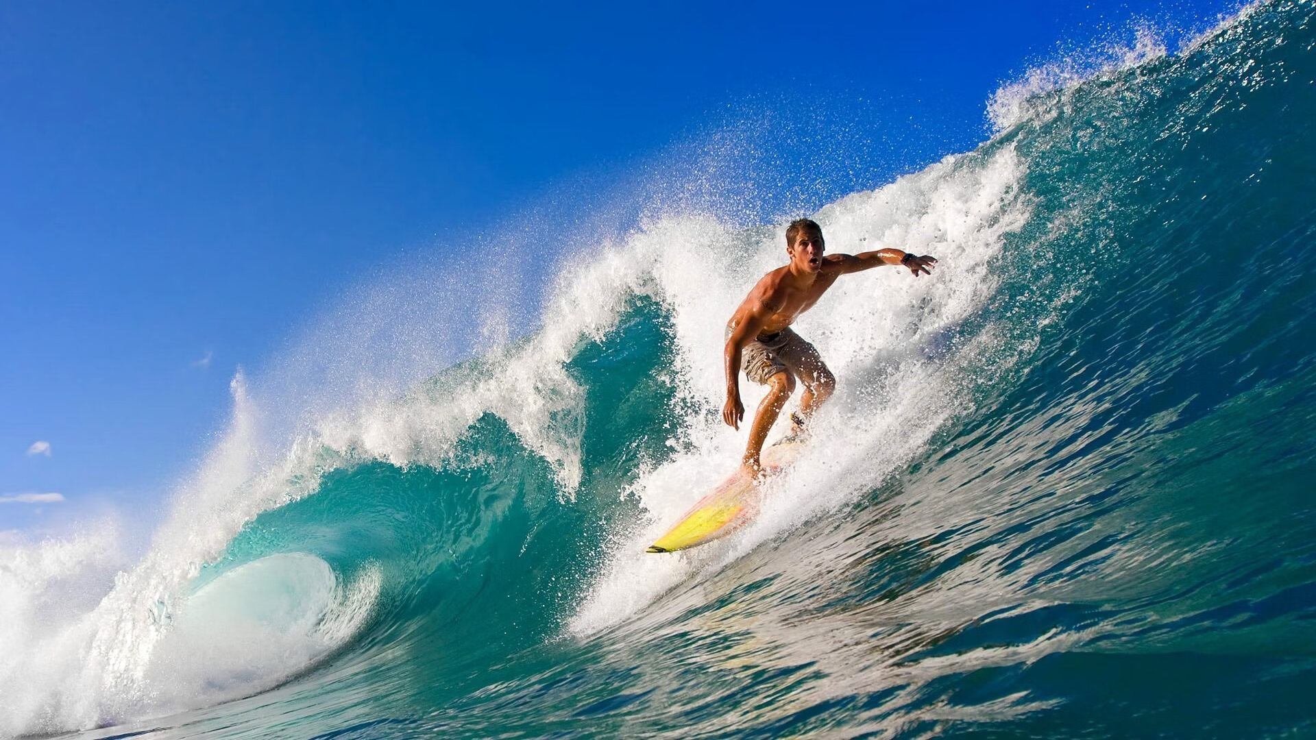 伊布展现巨星价值,厄瓜多尔轻取巴黎