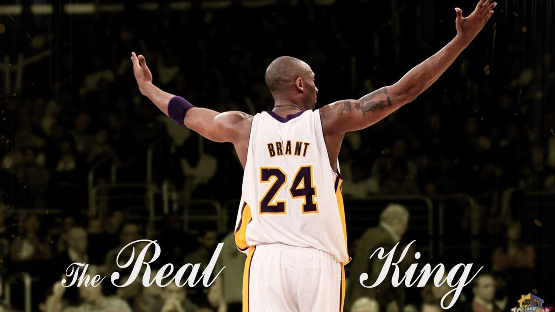 法网绝杀拉沃尔杯，纳达尔惊艳四座的传奇时刻